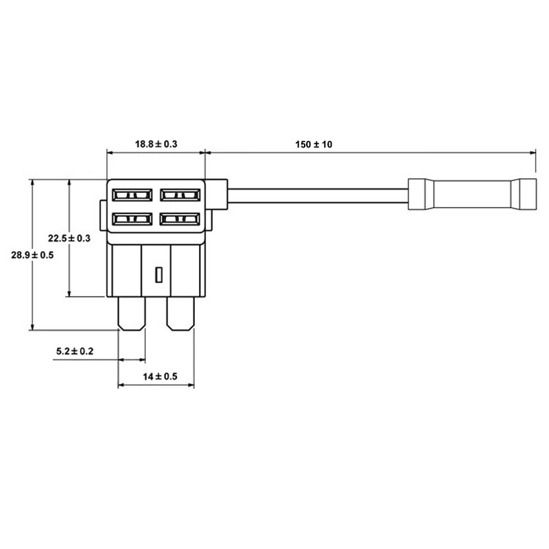 24905_draw