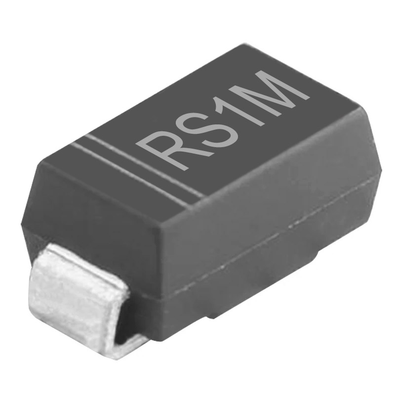 rs1m